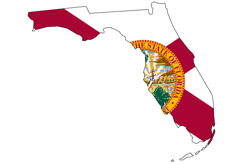 timeline-img-florida Outline of Florida with background of Florida map